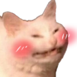 Blushing Cat Meme Discord